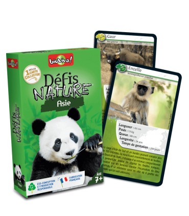 Desafios Naturaleza Asia DES09ES