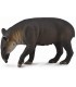 Tapir Centroamericano Ref: 88596