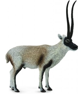 Chiru Antilope Tibetano Ref: 88721
