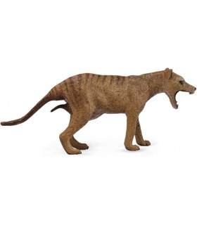 Thylacine TigreTasmania Hembra Ref:88767