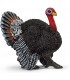 Pavo Ref: 13900 