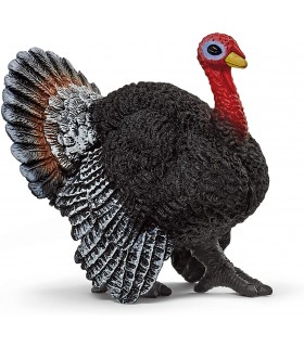 Pavo Ref: 13900 