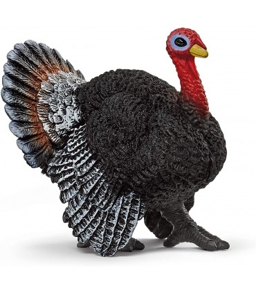 Pavo Ref: 13900 