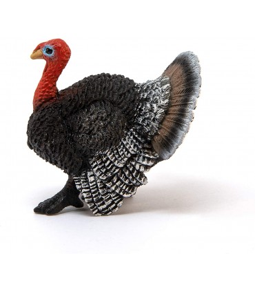 Pavo Ref: 13900 
