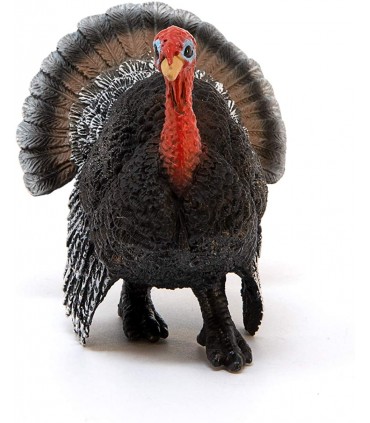Pavo Ref: 13900 