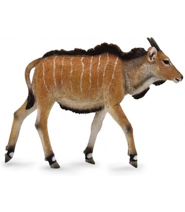 Eland Calf Ref: 88768