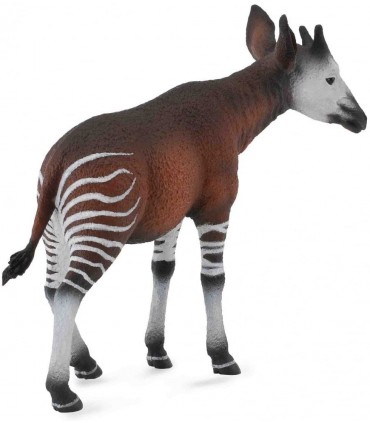 Okapi Ref: 88532