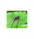 Insecticefa Plus 21852