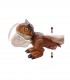 Dinosaurio Bebe Carnotaurus MordedoHBY84