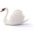 Cisne Ref: 13921 