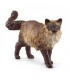 Gato Ragdoll Ref: 13940 