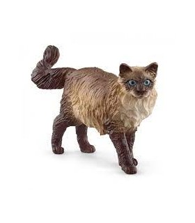 Gato Ragdoll Ref: 13940 