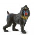 Mandril  Ref: 14856 