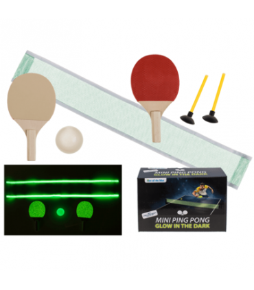 Raqueta Ping Pong Mini + Raqueta + 1 Pel