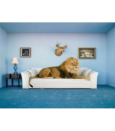 Puzzle 250 Pcs Adulto Frame Me Up 38500