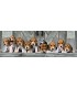 Puzzle 1000 Pcs Beagles 39435