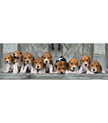 Puzzle 1000 Pcs Beagles 39435