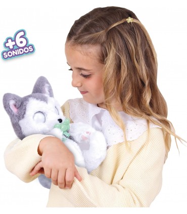 Baby Paws Husky Ref: 917644