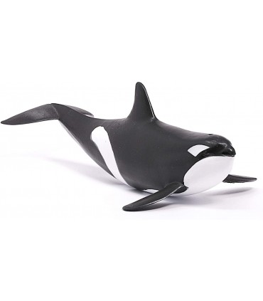 Orca Ref: 14807