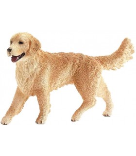 Golden Retriever Hembra 16395 