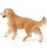 Golden Retriever Hembra 16395 