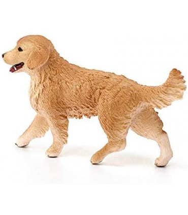 Golden Retriever Hembra 16395 