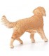 Golden Retriever Hembra 16395 