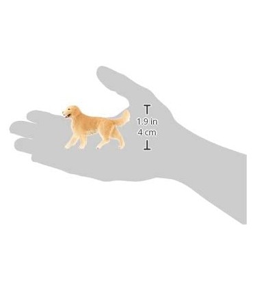 Golden Retriever Hembra 16395 
