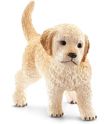 Cachorro Golden Retriever 16396
