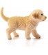 Cachorro Golden Retriever 16396