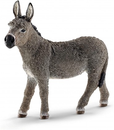 Burro Ref: 13772 