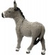Burro Ref: 13772 