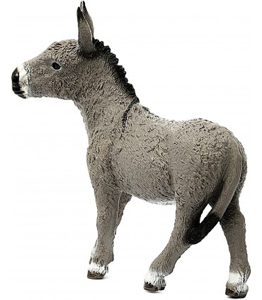 Burro Ref: 13772 