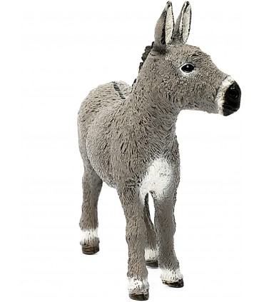 Burro Ref: 13772 