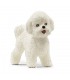 Bichon Frisé Ref: 13963