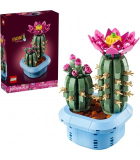 Cactus En Flor Ref: 11509