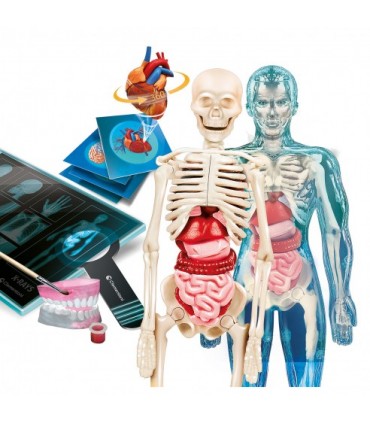 Superanatomia Ref: 55509