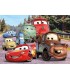 Puzzle 24 Maxi Harry Ref: 24239