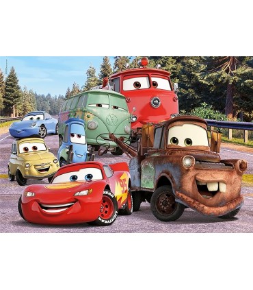Puzzle 24 Maxi Harry Ref: 24239