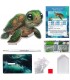 Tortuga Crystal Buddy