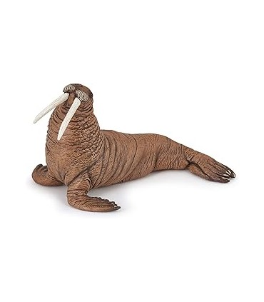 Morsa Ref: 56030