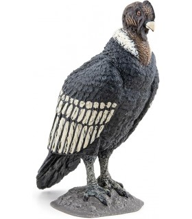 Condor Ref: 50293