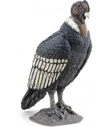 Condor Ref: 50293