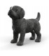 Cachorro Labrador Retriever Negro 14922