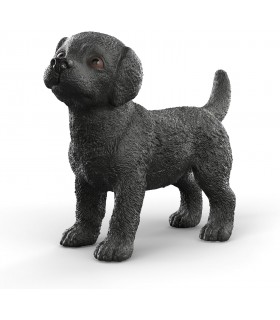 Cachorro Labrador Retriever Negro 14922
