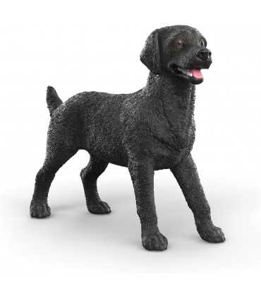 Labrador Hembra Negra Ref: 14923
