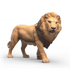 Leon Africano Ref: 14974