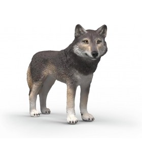 Lobo Americano Ref: 14991