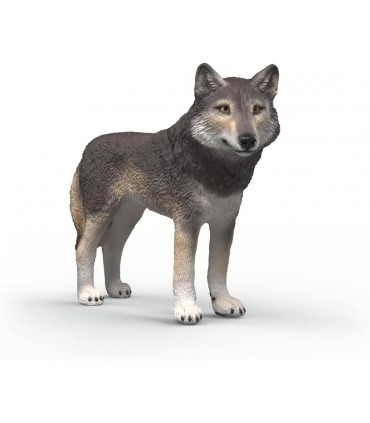Lobo Americano Ref: 14991