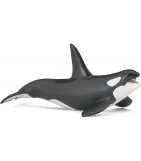 Orca Ballena Ref: 56000